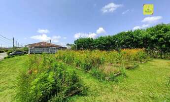 Imagem 15: Casa com 2 dormitórios para alugar, 55 m² por R$ 1.140,00/mês - São Pedro - Juiz de Fora/M