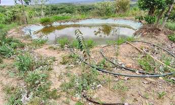 Imagem 7: Vende-se chácara