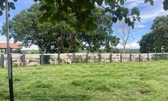 Imagem 5: Fazenda - 319 Hectares Nossa Senhora do Livramento - MT