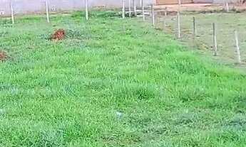 Imagem 7: Chácara nova Veneza