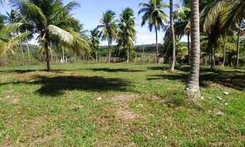 Imagem: Conde, bahia, litoral norte 190 tarefas