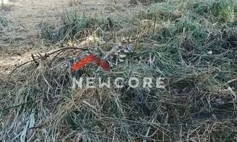 Imagem 7: Lote em Rua das Orquídeas - Loteamento Vale das Flores - Atibaia/SP