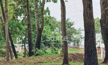 Imagem 3: Chácara à venda, 3000 m² por R$ 280.000 - Área Rural - Uberlândia/MG