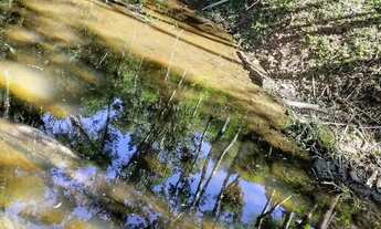 Imagem 5: Chácara com lago em Juquitiba