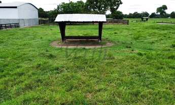 Imagem 7: Fazenda - Área Rural de Cáceres - Cáceres