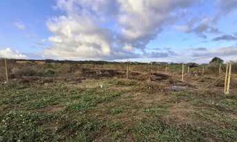 Imagem 3: Mini-sitio são Gonçalo dos campos 14x20 280m