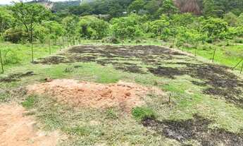 Imagem 4: Vendo terreno para sítio mil metros