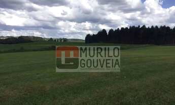 Imagem 4: Área com 20.000 m², à venda por R$ 5.000.000 - Eucaliptos, Fazenda Rio Grande (PR