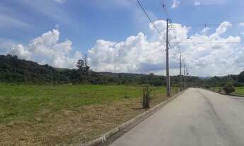 Imagem 4: Terreno - Centro - Tuiuti