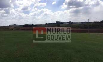 Imagem 7: Área com 20.000 m², à venda por R$ 5.000.000 - Eucaliptos, Fazenda Rio Grande (PR