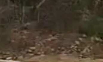 Imagem: Lote 200 m² em avenida Vila sion 89.998.00