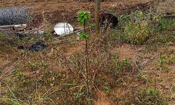 Imagem 3: Oportunidade única