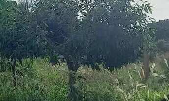 Imagem 4: Terreno de 2.200m² Proximo ao Morada Nobre e Morro da Capelinha