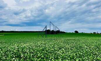 Imagem 4: Fazenda 9,5 Alqueires - Piracanjuba - GO