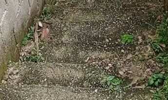 Imagem 4: Construção casa