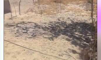 Imagem 3: Terreno na praia do futuro II p vender logo