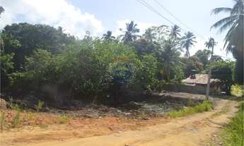 Imagem 5: Sua Oportunidade de Investimento em Maragogi!