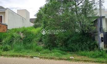 Imagem 3: Terreno no bairro Arroio da Manteiga