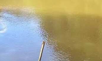 Imagem 6: Vendo sítio Chácara com venda por R$450.000