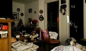 Imagem 3: Casa para locação na Armando Barbedo Espaço, conforto e excelente localização