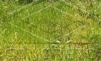 Imagem 2: Terreno Padrão em Bauru