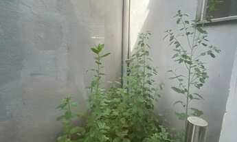 Imagem 5: Apartamento para Venda em Sarzedo, Riacho da Mata, 2 dormitórios, 1 banheiro, 1 vaga