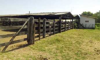 Imagem 2: Fazenda Extra 151 Alqueires - Dupla Aptidão!