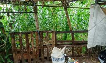 Imagem 6: Terreno à venda com 1.500m² no Chácaras Caxingui Embu das Artes/SP