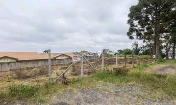 Imagem 6: Terreno ZR2 no Pilarzinho, Curitiba-PR