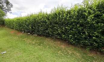 Imagem 7: Casa em condomínio fechado