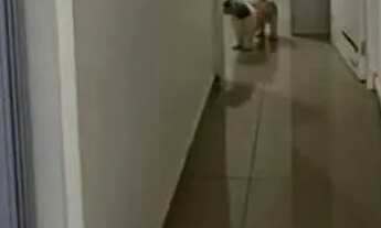 Imagem 5: Casa finais de semana e carnaval