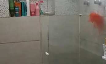 Imagem 3: Procuro uma nova familia que eu possa abrigar e guardar novas histórias