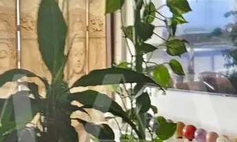 Imagem: Apartamento 1 Dormitório com vista livre