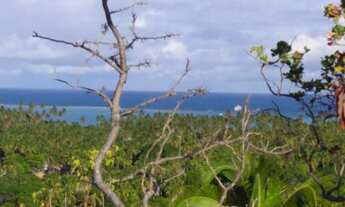 Imagem 7: Loteamento na Praia de Antunes em Maragogi-AL