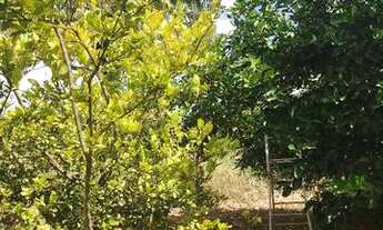 Imagem 2: Chácara de Lazer Estância Alto da Serra Santa Barbará de Goiás 1500mt