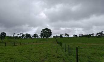 Imagem 5: Sítio ji-parana /rondominas terra linha 208 criação gado /psicultura