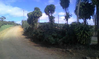 Imagem 4: Boa pra café Fazenda / sítio com venda por R$5.000.000