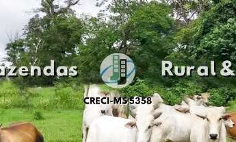 Imagem 3: Fazenda 980 hectáres Rio Negro-MS formada estruturada proxima da cidade