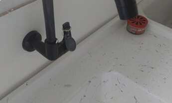 Imagem 7: Casa com mais casas no quintal para alugar na Vila Prudente