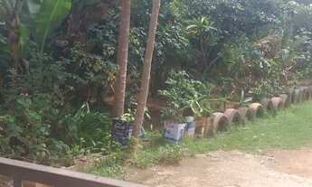 Imagem 7: Novo Gama (Vale do Sabiá) chácara 6.000m² com casa e pomar R$ 145.000