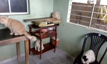 Imagem 5: Casa para venda com 3 quartos em Cavaleiro