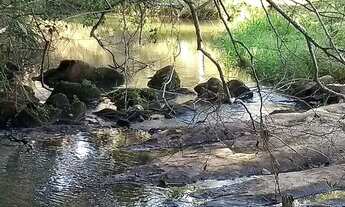 Imagem 4: Chácara Paraibuna 3 Km da tamoios