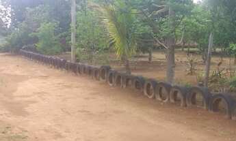 Imagem 3: Novo Gama (Vale do Sabiá) chácara 6.000m² com casa e pomar R$ 145.000