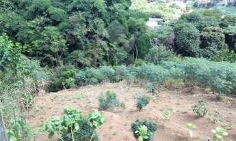 Imagem 6: Lote/Terreno para venda tem 980 metros quadrados em Cônego - Nova Friburgo - RJ