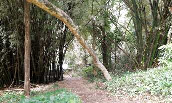 Imagem 7: RIO DE JANEIRO - Terreno Padrão - Jardim Botânico