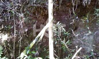 Imagem 4: Terreno para vender em Rancho Queimado, com 20.000m², Santa Catarina