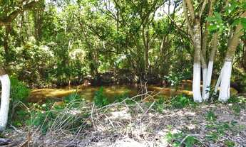 Imagem 2: TERRENO EM IMBASSAÍ