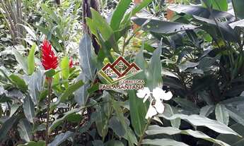 Imagem 6: SOBRADO na praia de juquehy , disponível para locação REVEILLON , FINAIS DE SEMANA , FERAI