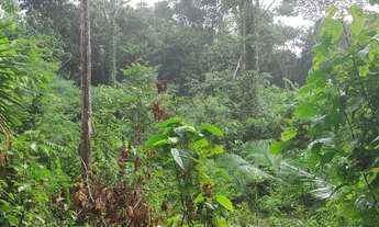 Imagem 6: Terreno para venda 10x50