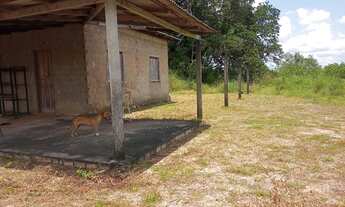 Imagem 4: Vendo um sítio 43 hectares, no P.A nova amazônia